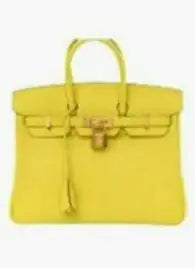 Fashion Women's Handbag