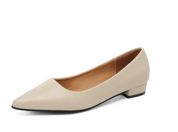 Fashionable Women's Square Heel Shoes (One Pair)